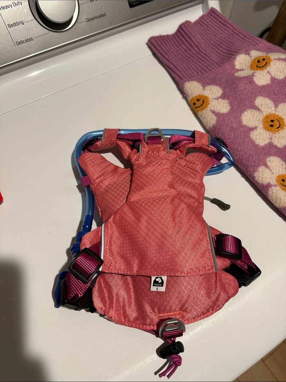Lot of Puppy/Small Dog Accessories and Clothes